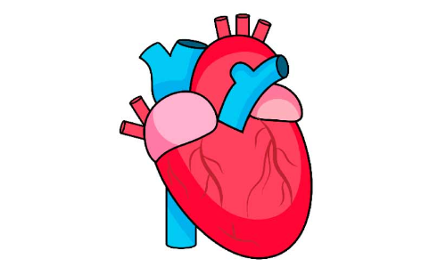 Childrens heart surgery project inaugurated today