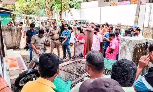 explosive device was thrown into the house