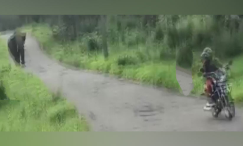 ബൈക്ക് യാത്രികനെ കാട്ടാന ഓടിച്ചു