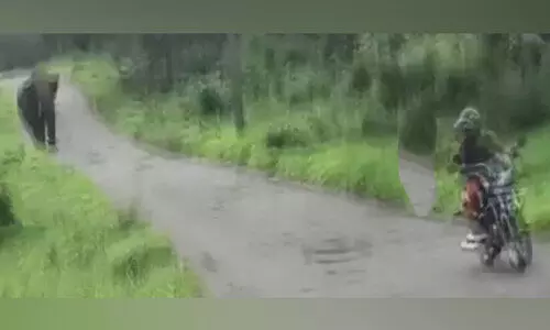 ബൈക്ക് യാത്രികനെ കാട്ടാന ഓടിച്ചു