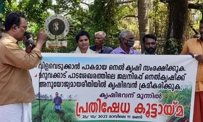 പൊക്കാളി സംരക്ഷണം ഉറപ്പാക്കണമെന്ന് ആവശ്യപ്പെട്ട് നെൽ കർഷകർ പ്രതിഷേധം നടത്തി പൊക്കാളി സംരക്ഷണം ഉറപ്പാക്കണമെന്ന് ആവശ്യപ്പെട്ട് നെൽ കർഷകർ പ്രതിഷേധം നടത്തി