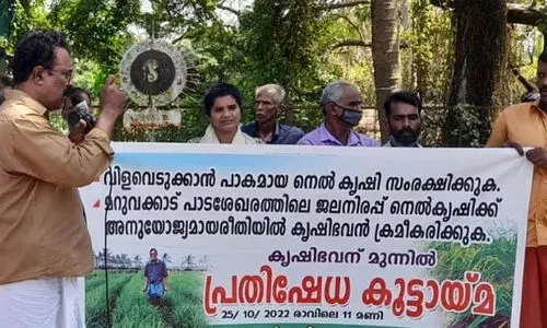 പൊക്കാളി സംരക്ഷണം ഉറപ്പാക്കണമെന്ന് ആവശ്യപ്പെട്ട് നെൽ കർഷകർ പ്രതിഷേധം നടത്തി