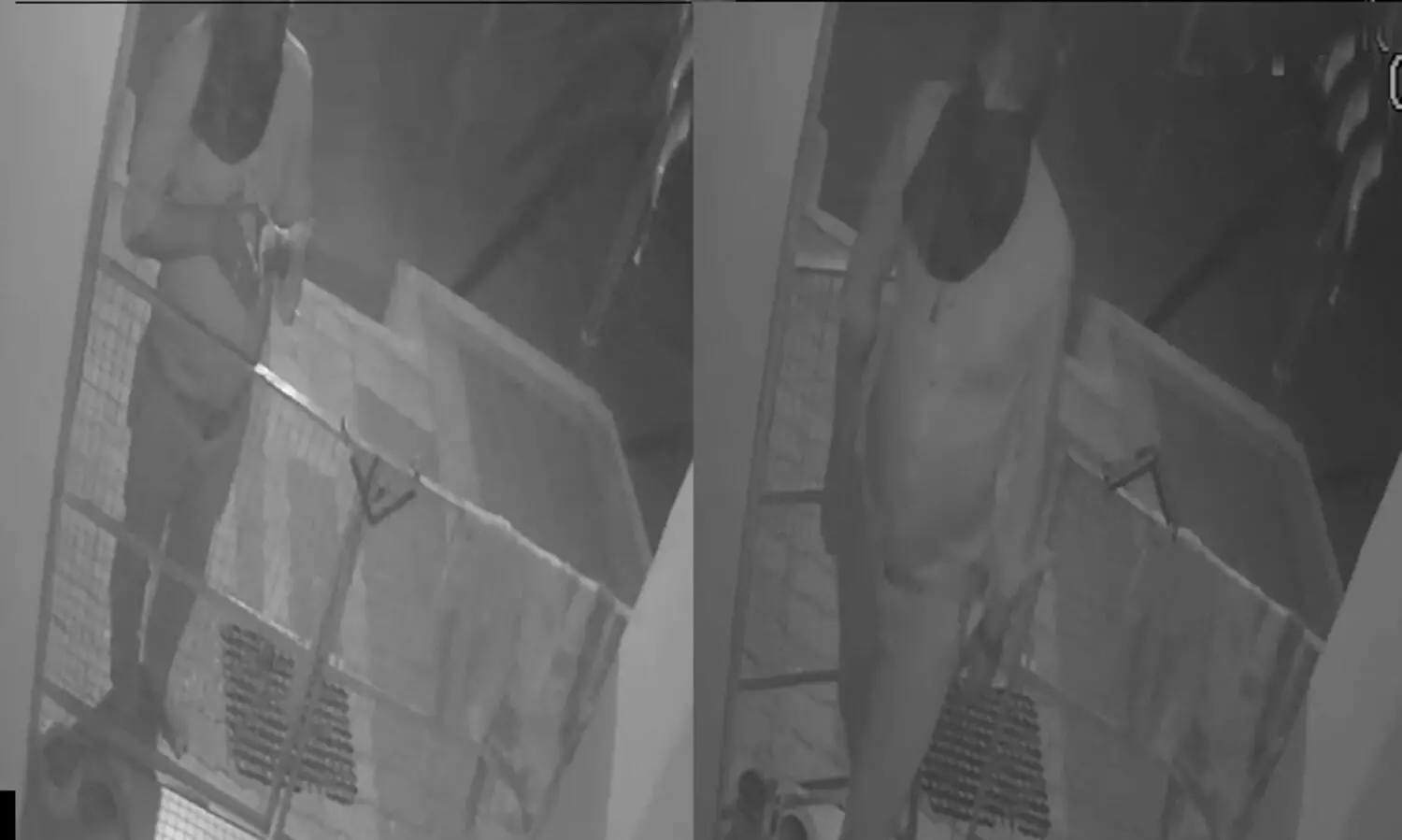 ദൈവത്തെ വണങ്ങിയതിന് ശേഷം മോഷണം; അമ്പലത്തിലെ ഭണ്ഡാരം മോഷ്ടിച്ചയാൾ സി.സി.ടി.വിയിൽ