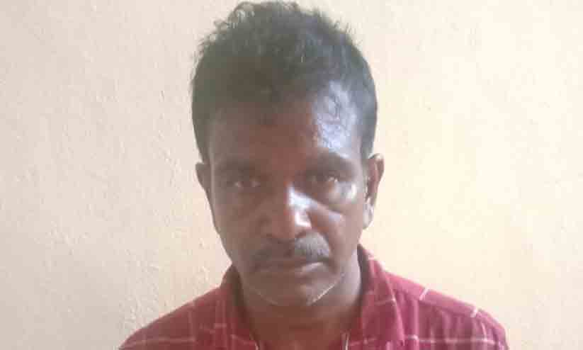 ബാലികയെ പീഡിപ്പിച്ച് വിദേശത്തേക്ക് കടന്ന 44 കാരനെ ഇന്റർപോൾ സഹായത്തോടെ പിടികൂടി ബാലികയെ പീഡിപ്പിച്ച് വിദേശത്തേക്ക് കടന്ന 44 കാരനെ ഇന്റർപോൾ സഹായത്തോടെ പിടികൂടി