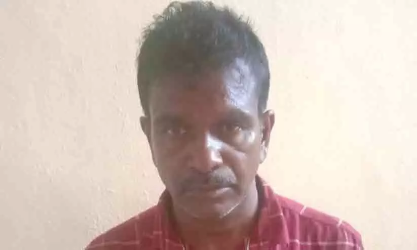 ബാലികയെ പീഡിപ്പിച്ച് വിദേശത്തേക്ക് കടന്ന 44 കാരനെ ഇന്റർപോൾ സഹായത്തോടെ പിടികൂടി