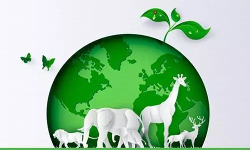 അരാംകോ 10 കേന്ദ്രങ്ങളിൽ 500 സസ്യ-ജന്തുജാലങ്ങളെ സംരക്ഷിക്കും