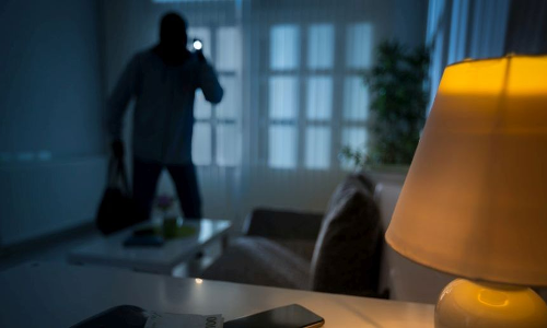 Theft: Five arrested in Oman