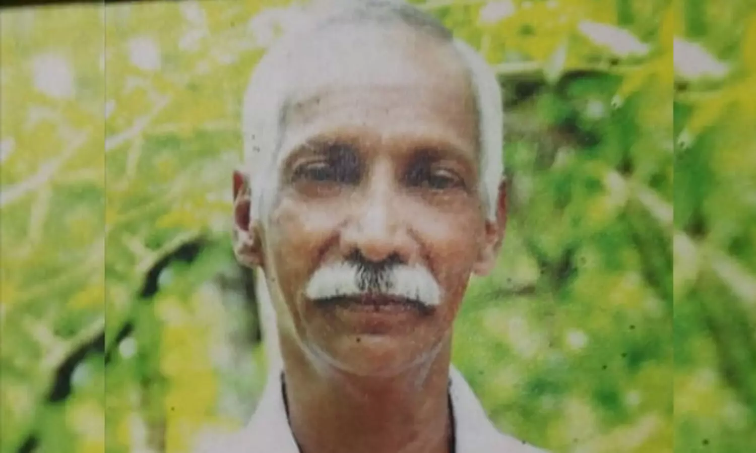 മകളെ രക്ഷിക്കുന്നതിനിടെ കടന്നൽകുത്തേറ്റ് വയോധികൻ മരിച്ചു; ഭാര്യയും അയൽവാസികളുമടക്കം 15ഓളം പേർക്ക് പരിക്ക്