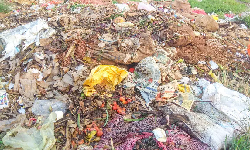 Epidemic scare Aluva market as garbage dump