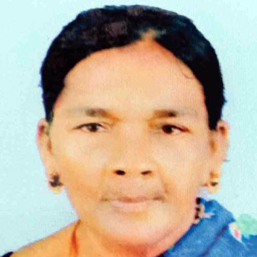 എ​ല്‍സി