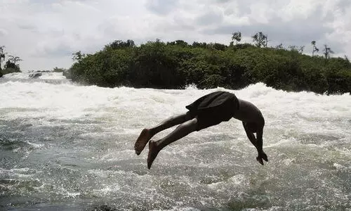 thief jumped into sea