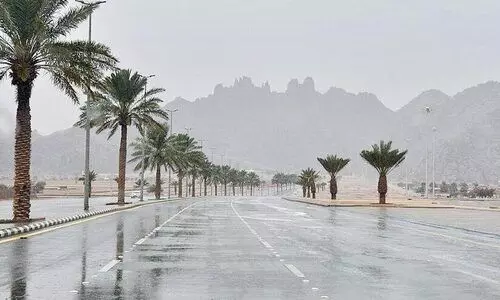 സൗദിയിൽ കാലാവസ്ഥ മാറ്റം; പല ഭാഗങ്ങളിലും മഴയും പൊടിക്കാറ്റും സൗദിയിൽ കാലാവസ്ഥ മാറ്റം; പല ഭാഗങ്ങളിലും മഴയും പൊടിക്കാറ്റും