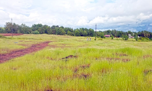 വെയര്‍ഹൗസിങ് ഗോഡൗണിന് കൊളത്തൂരിൽ ഏഴേക്കർ ഭൂമി