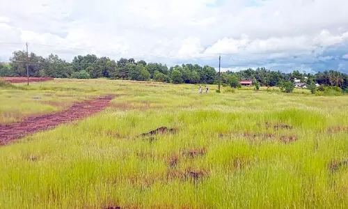 വെയര്‍ഹൗസിങ് ഗോഡൗണിന് കൊളത്തൂരിൽ ഏഴേക്കർ ഭൂമി