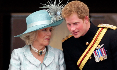 Queen Camilla, Prince Harry