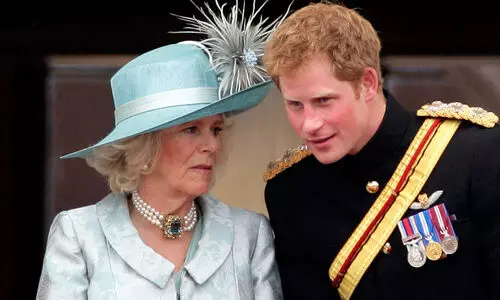 Queen Camilla, Prince Harry