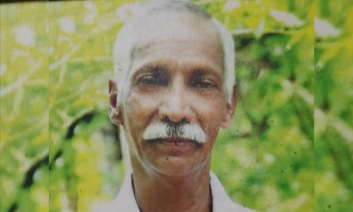 മകളെ രക്ഷിക്കുന്നതിനിടെ കടന്നൽകുത്തേറ്റ് വയോധികൻ മരിച്ചു; ഭാര്യയും അയൽവാസികളുമടക്കം 15ഓളം പേർക്ക് പരിക്ക്