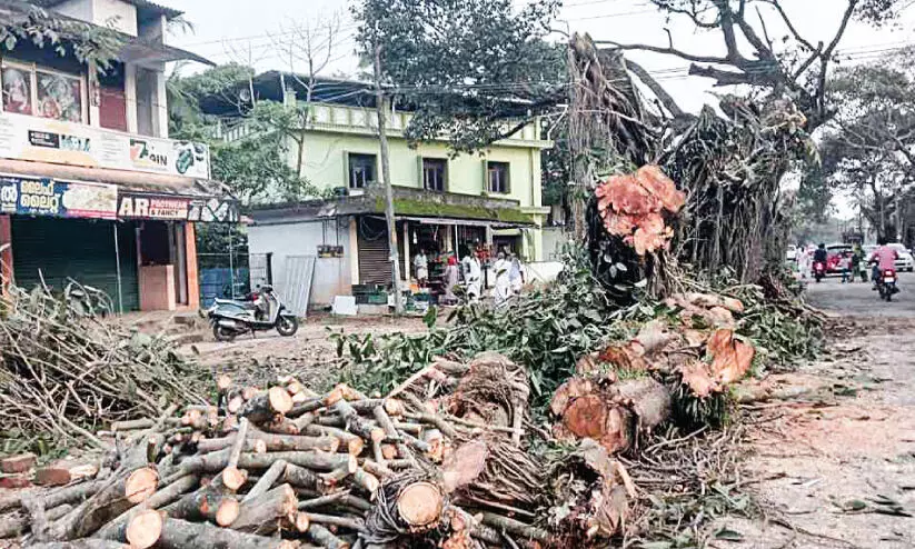Coastal Road Development