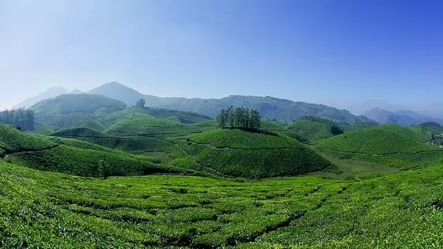 Digital Surve idukki