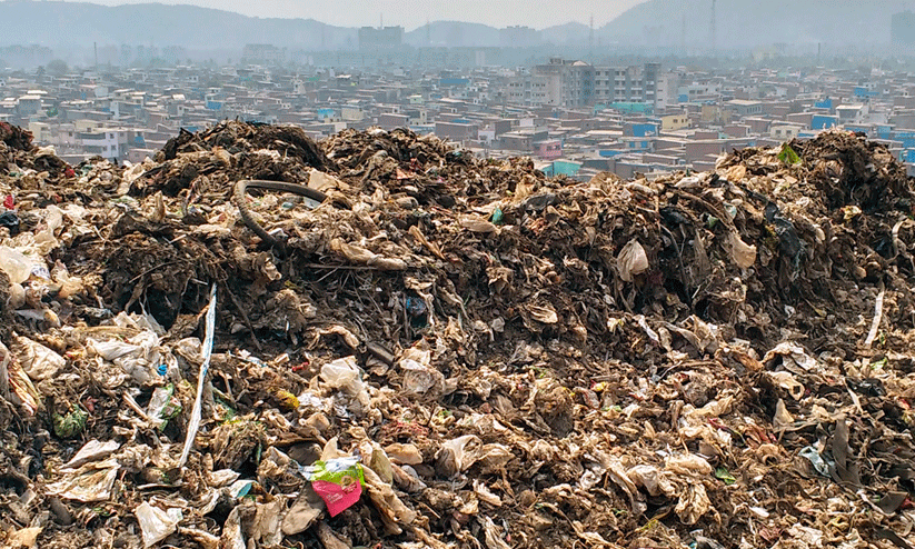 waste generators of India