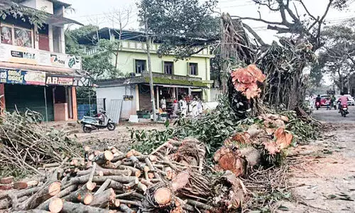 Coastal Road Development