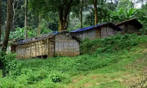 extortion of tribal money, attapadi