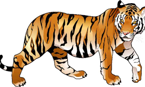 tiger menace- chiral