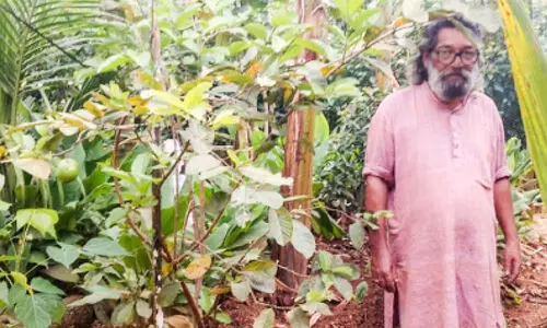 14 cent full of agriculture 14 cent full of agriculture