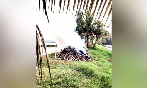 താ​റാ​വു​ക​ളെ കൊ​ന്നു തു​ട​ങ്ങി