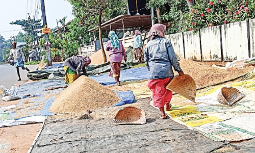 palakkad agriculture