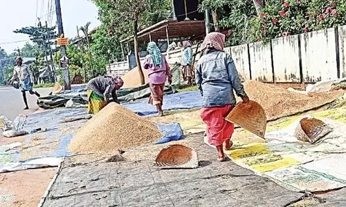 palakkad agriculture palakkad agriculture