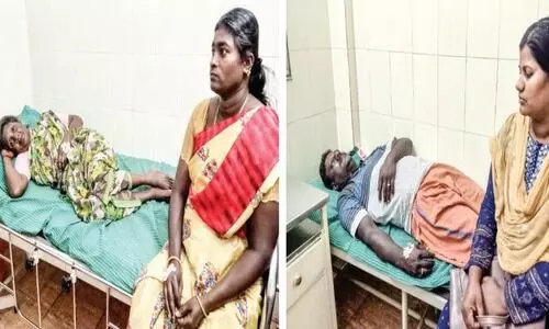 pesticide accident pesticide accident