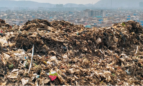 waste generators of India waste generators of India