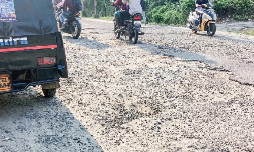 Veterinary road full of potholes