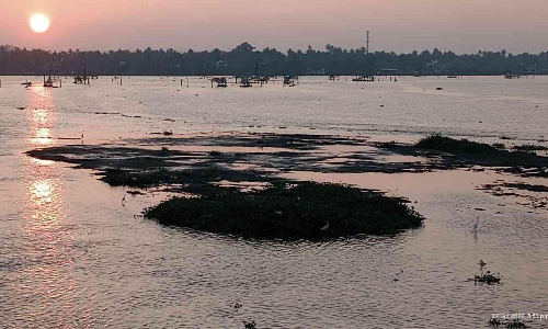 എക്കലും ചെളിയുമടിഞ്ഞ് വേമ്പനാട്ട് കായലിൽ പുതിയ ദ്വീപുകൾ