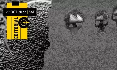 കടുകിലെ കോർപറേറ്റ് കണ്ണ്