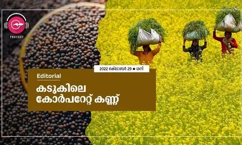 കടുകിലെ ​കോർപറേറ്റ് കണ്ണ്