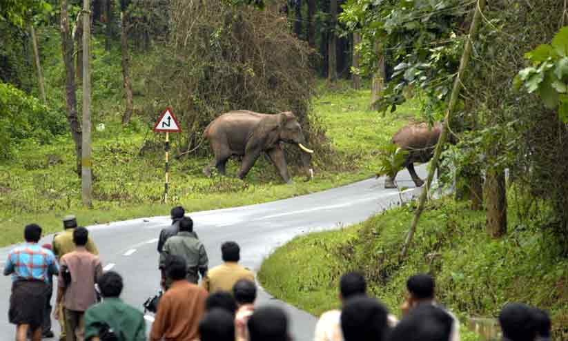കൂടുതൽ കുടുംബങ്ങൾ മലയോരം വിടാൻ തയ്യാറെടുക്കുന്നു കൂടുതൽ കുടുംബങ്ങൾ മലയോരം വിടാൻ തയ്യാറെടുക്കുന്നു