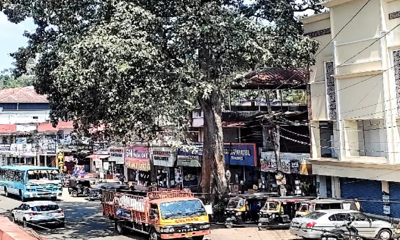 Protest against tree cutting