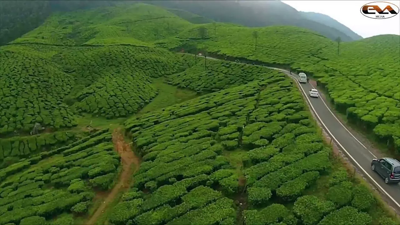 Thopramkudi is waiting for their Pattayam Thopramkudi is waiting for their Pattayam