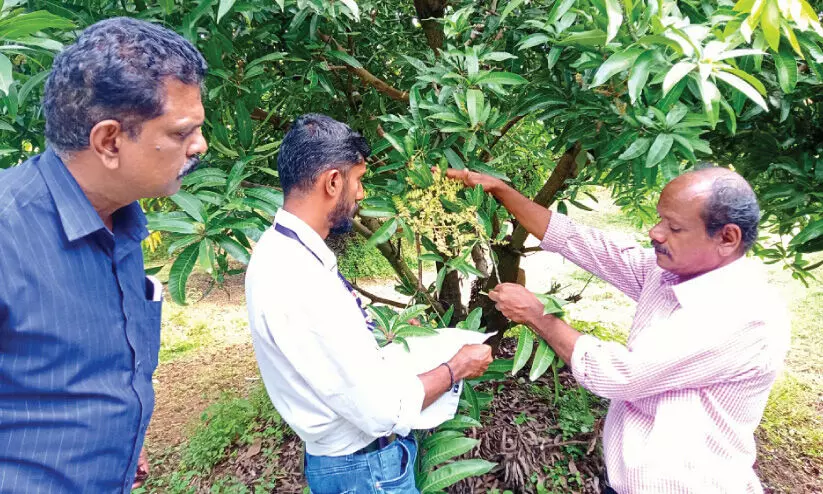 Cherukolkkalam pesticide issue