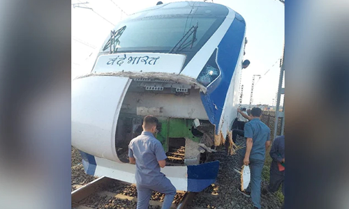 Another Vande Bharat cattle collision incident on Mumbai-Gandhinagar route