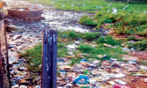 കാഞ്ഞങ്ങാട് ഡെങ്കിപ്പനി പടരുന്നു; 40 വ്യാപാരികൾ ചികിത്സ തേടി