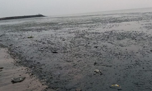 nainan valappu 89768