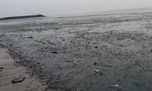 nainan valappu 89768