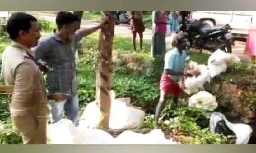 നിരോധിത പുകയില ഉൽപന്നങ്ങൾ തോട്ടിൽ ഉപേക്ഷിച്ച നിലയിൽ നിരോധിത പുകയില ഉൽപന്നങ്ങൾ തോട്ടിൽ ഉപേക്ഷിച്ച നിലയിൽ