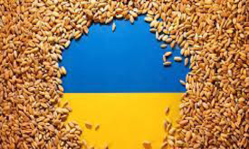 യുക്രെയ്ൻ ധാന്യ കയറ്റുമതി നിർത്തി; ഭക്ഷ്യക്ഷാമം രൂക്ഷമാകും