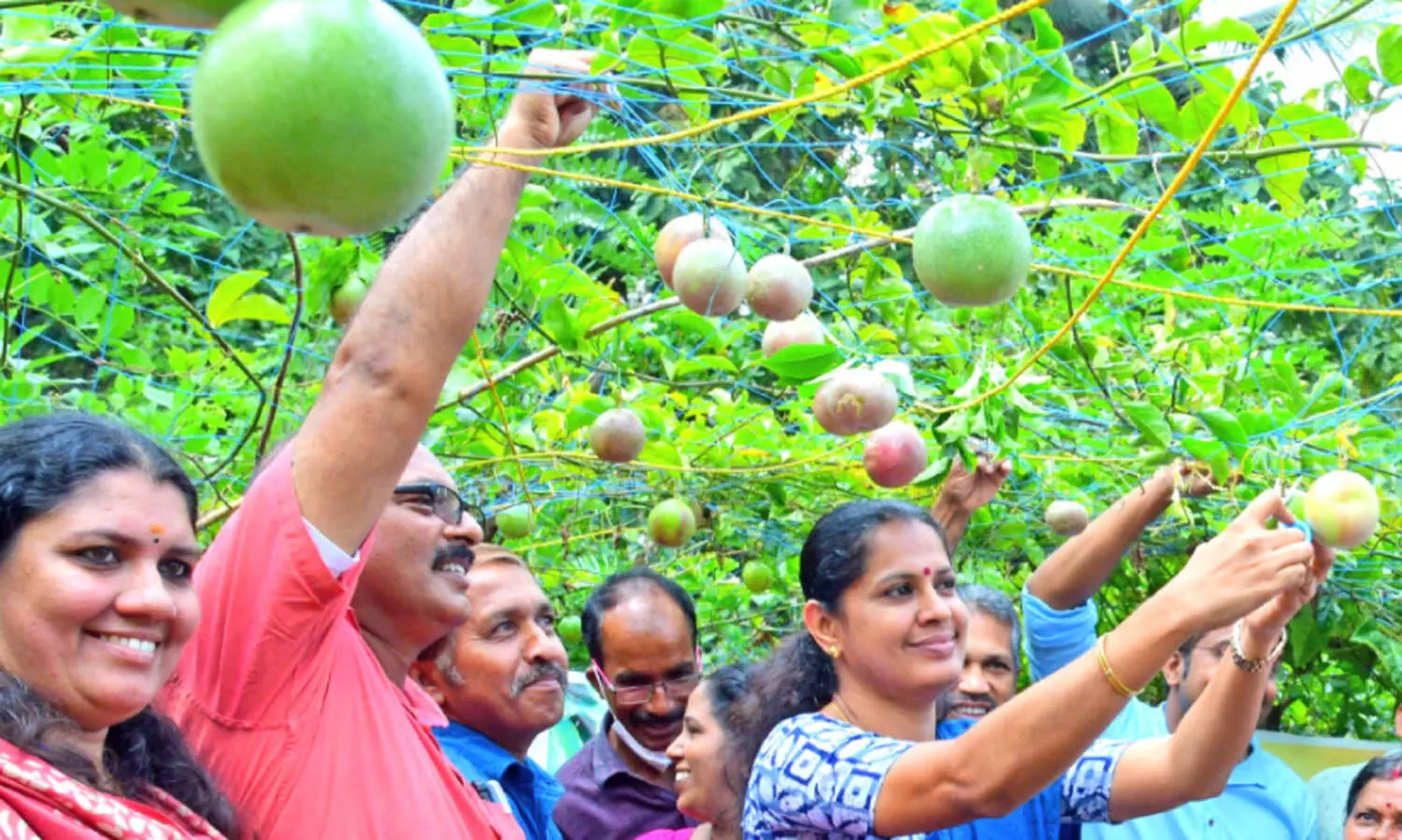 Passion Fruit Village