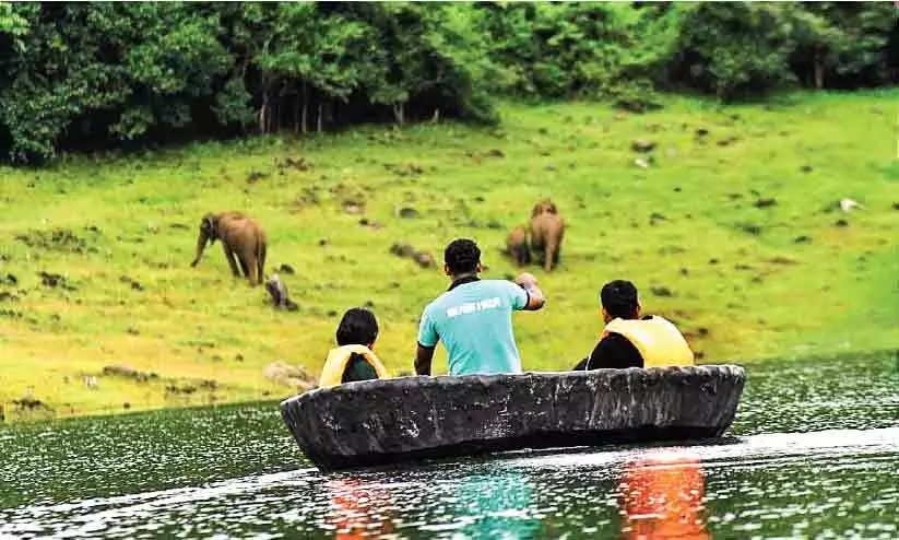 കാട്ടാറും കുട്ടവഞ്ചിയും; ചിമ്മിനിക്ക് ചന്തമേറെ...