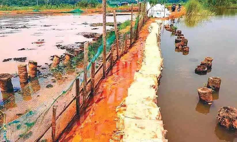 ഉപ്പുങ്ങലിനുസമീപം തകർന്ന ബണ്ട് എട്ടുമാസമായിട്ടും പുനര്‍നിര്‍മിച്ചില്ല